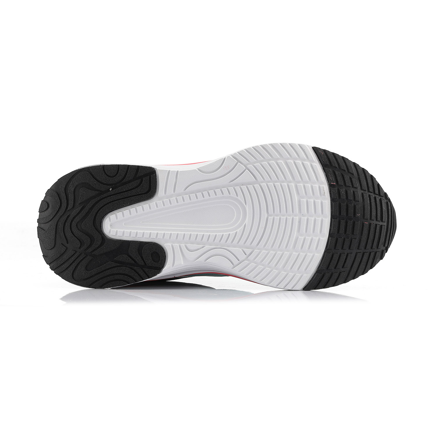 kbtc411670_7-1710159538